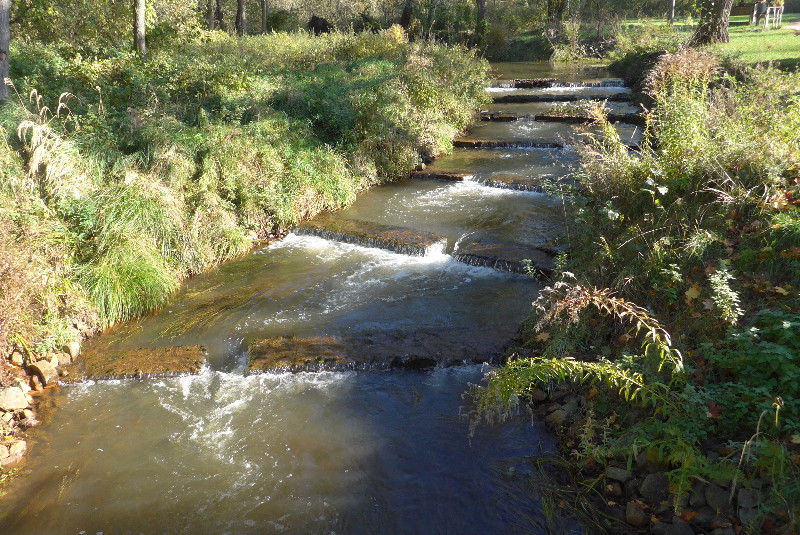 Fischtreppe im Flusslauf